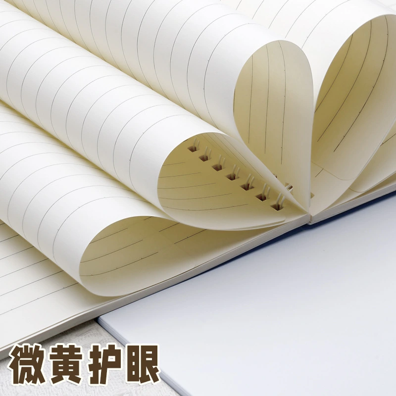 Off-white inner paper of the student spiral notebook