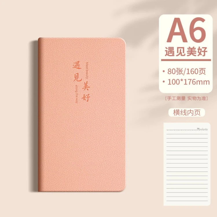 Daily Planner Notebook color option 1